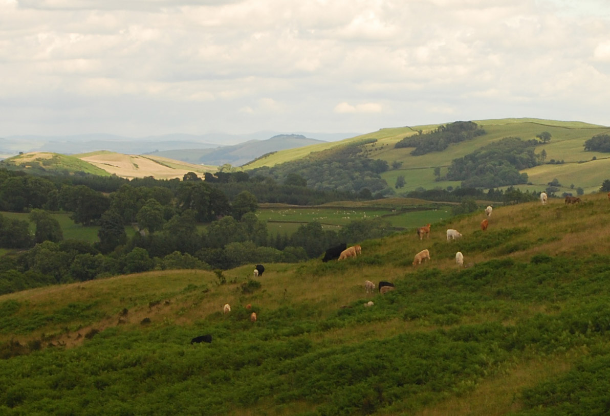 Galloway in the Scottish Lowlands
