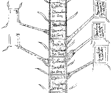 Leny genealogy