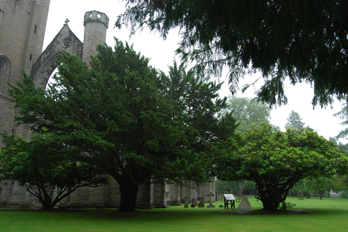 Dunkeld Cathedral