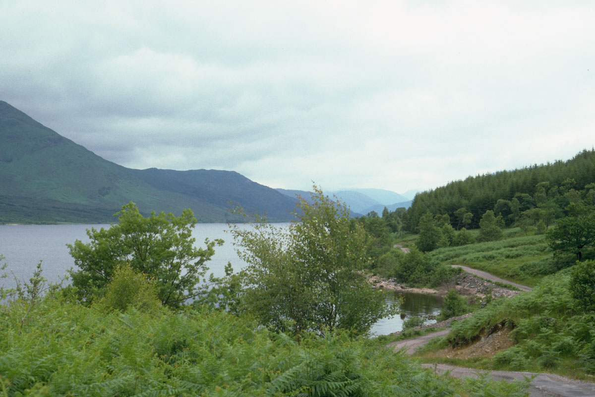 Loch Arkaig